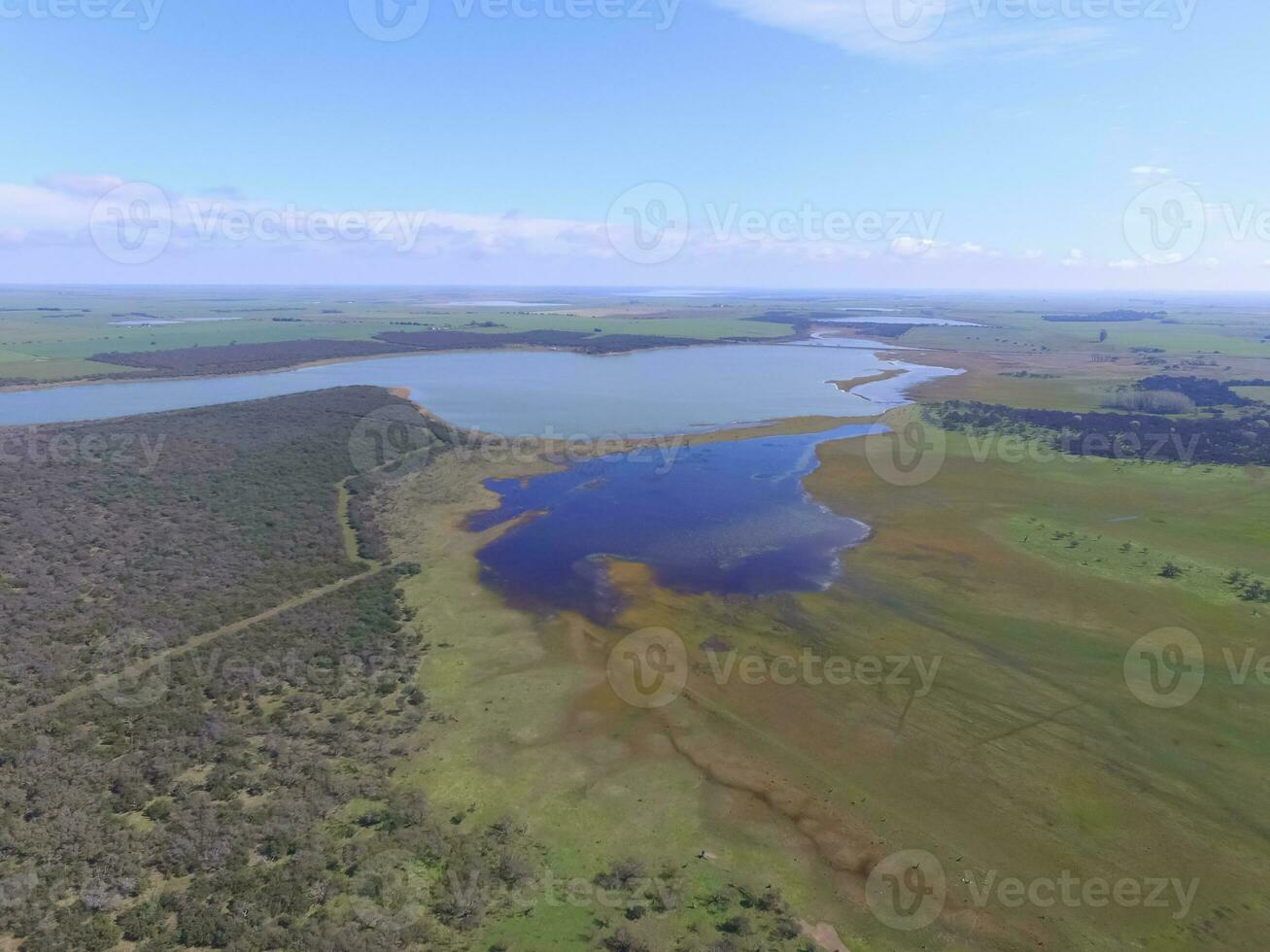 Forest in Pampas, Argentina photo