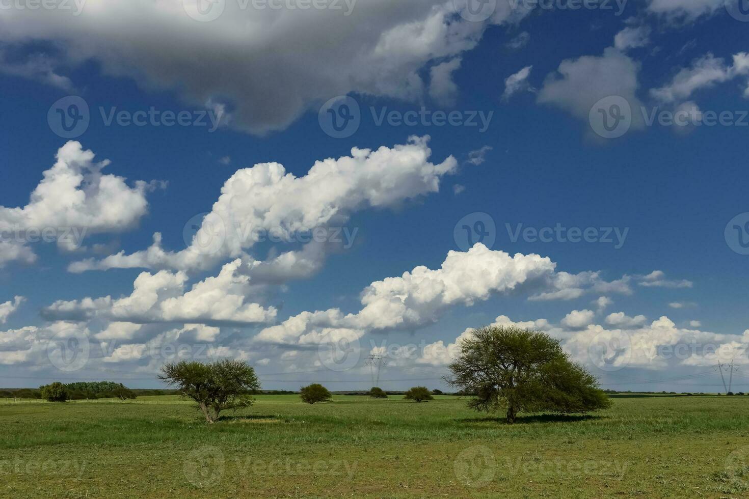 Landscape with clouds in La Pampa, Patagonia , Argentina photo