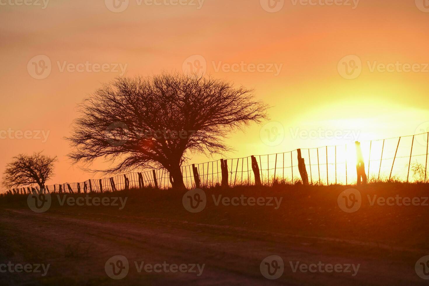 rural paisaje, buenos aires provincia , argentina foto