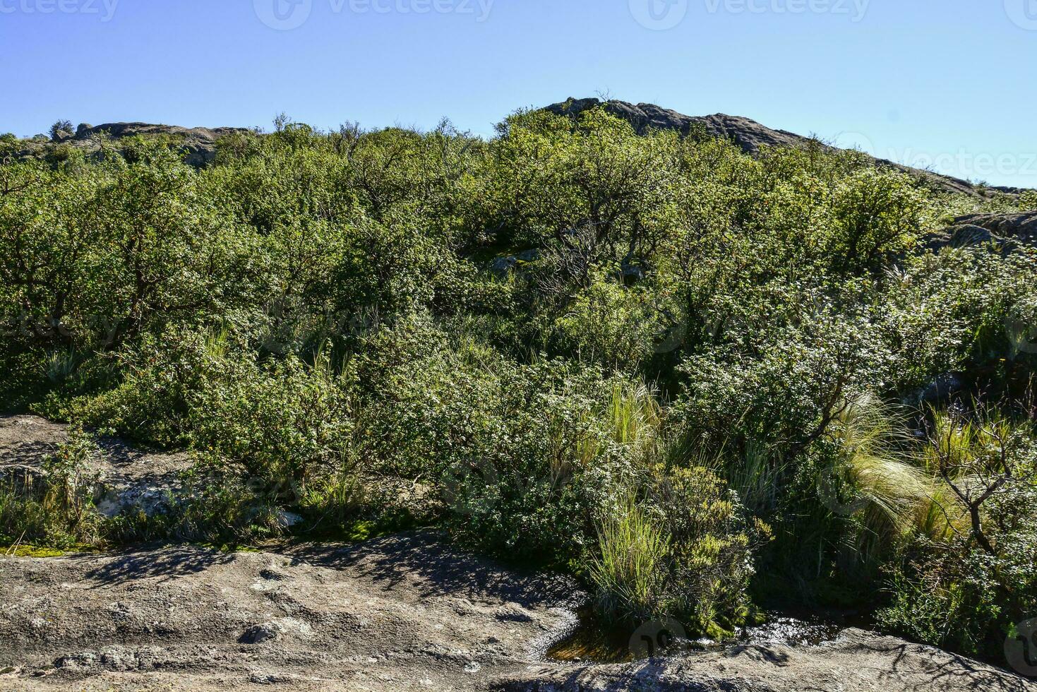 Quebrada del Condorito  National Park landscape,Cordoba province, Argentina photo