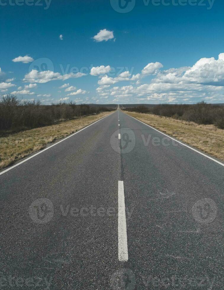 Route in the Pampas plain, Patagonia, Argentina photo