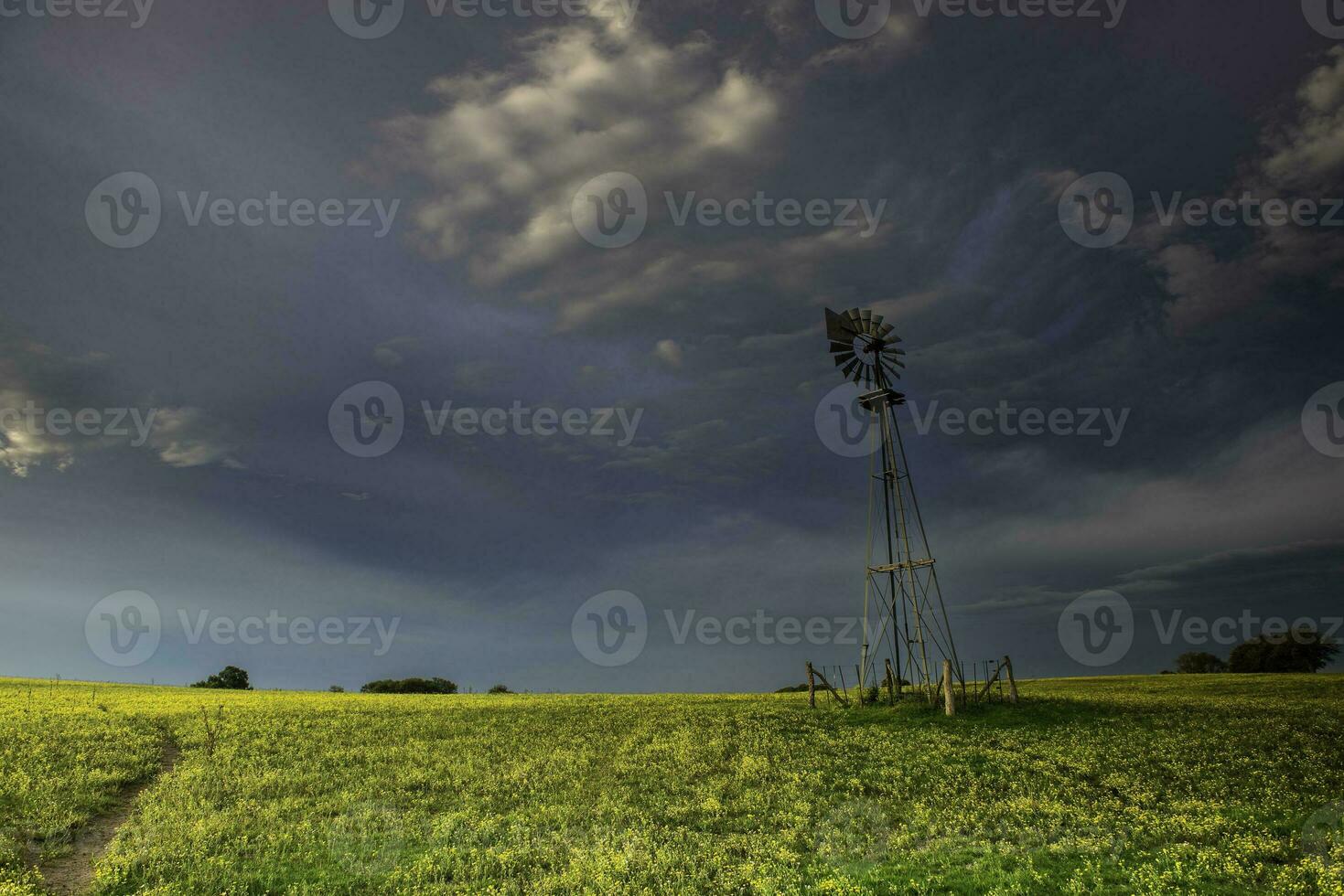 Windmill in countryside at sunset, Pampas, Patagonia,Argentina. photo