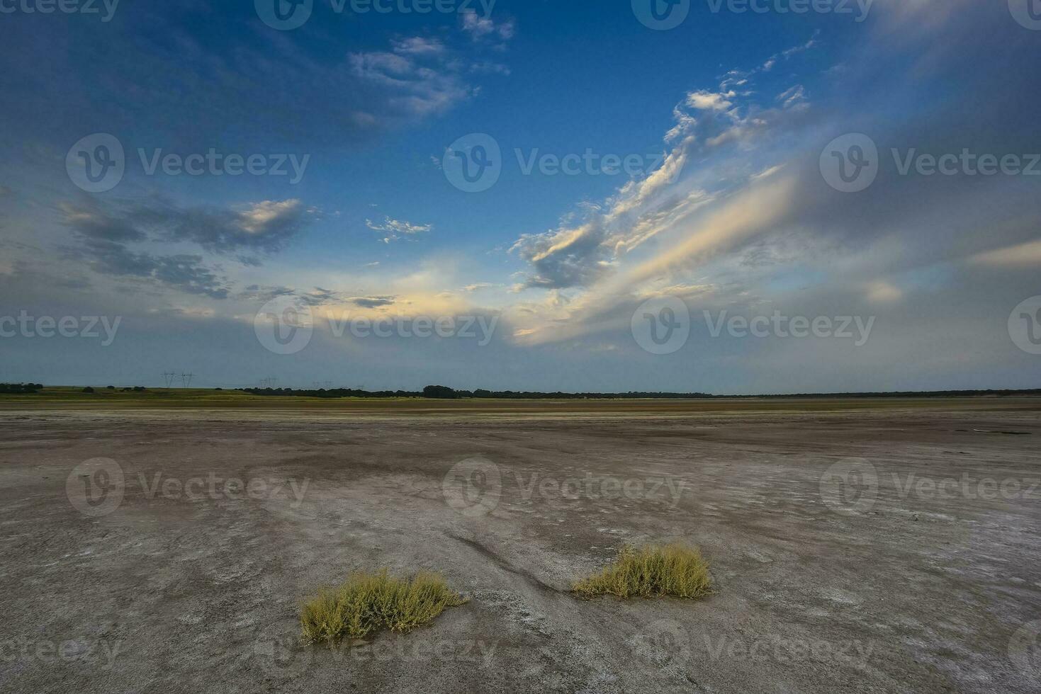 Desierto ambiente en la pampa provincia, Patagonia, argentina. foto