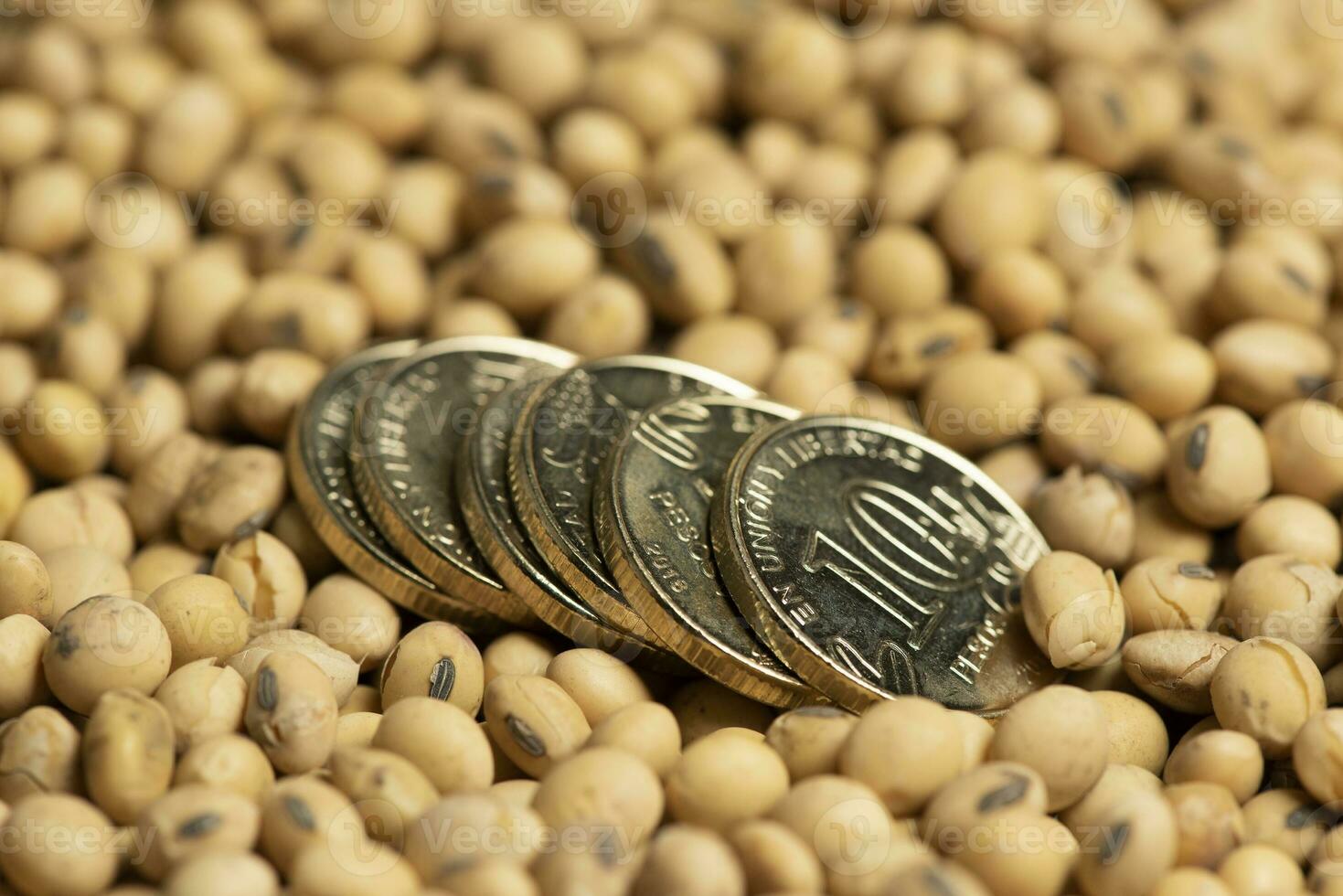 Dollars banknotes and coins and soy beans,oleaginous commoditi value concept. photo