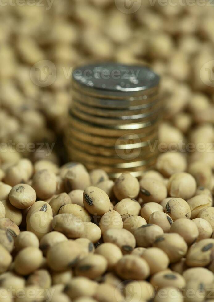 Dollars banknotes and coins and soy beans,oleaginous commoditi value concept. photo