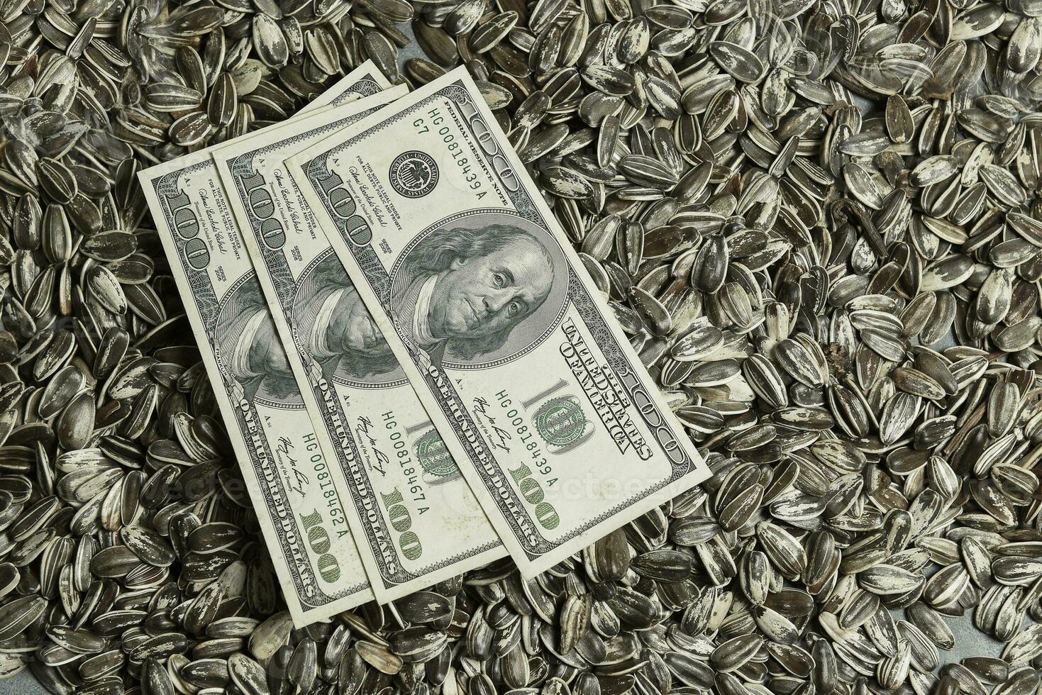 Dollars banknotes and sunflower seeds, oleaginous Commodity value concept. photo