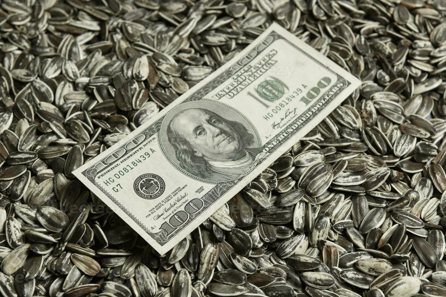 Dollars banknotes and sunflower seeds, oleaginous Commodity value concept. photo