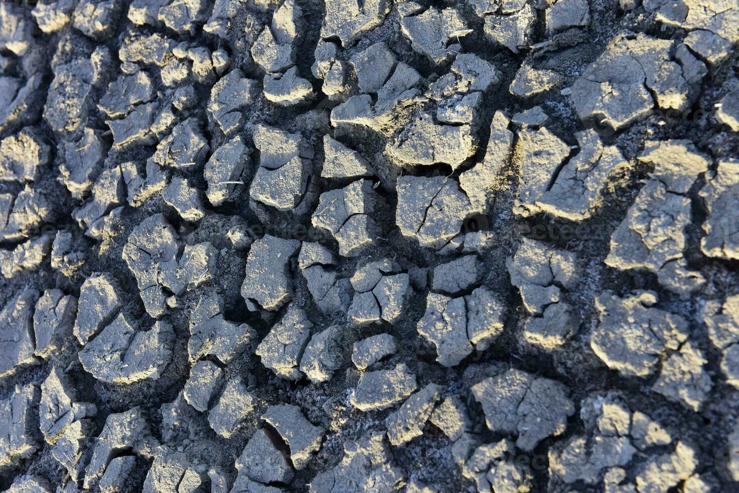 Cracked ground pattern in the desert, La Pampa, Argentina photo