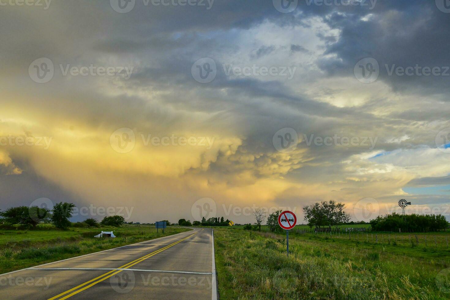 Route crossing the Pampas plain, La Pampa Province, Patagonia, Argentina. photo