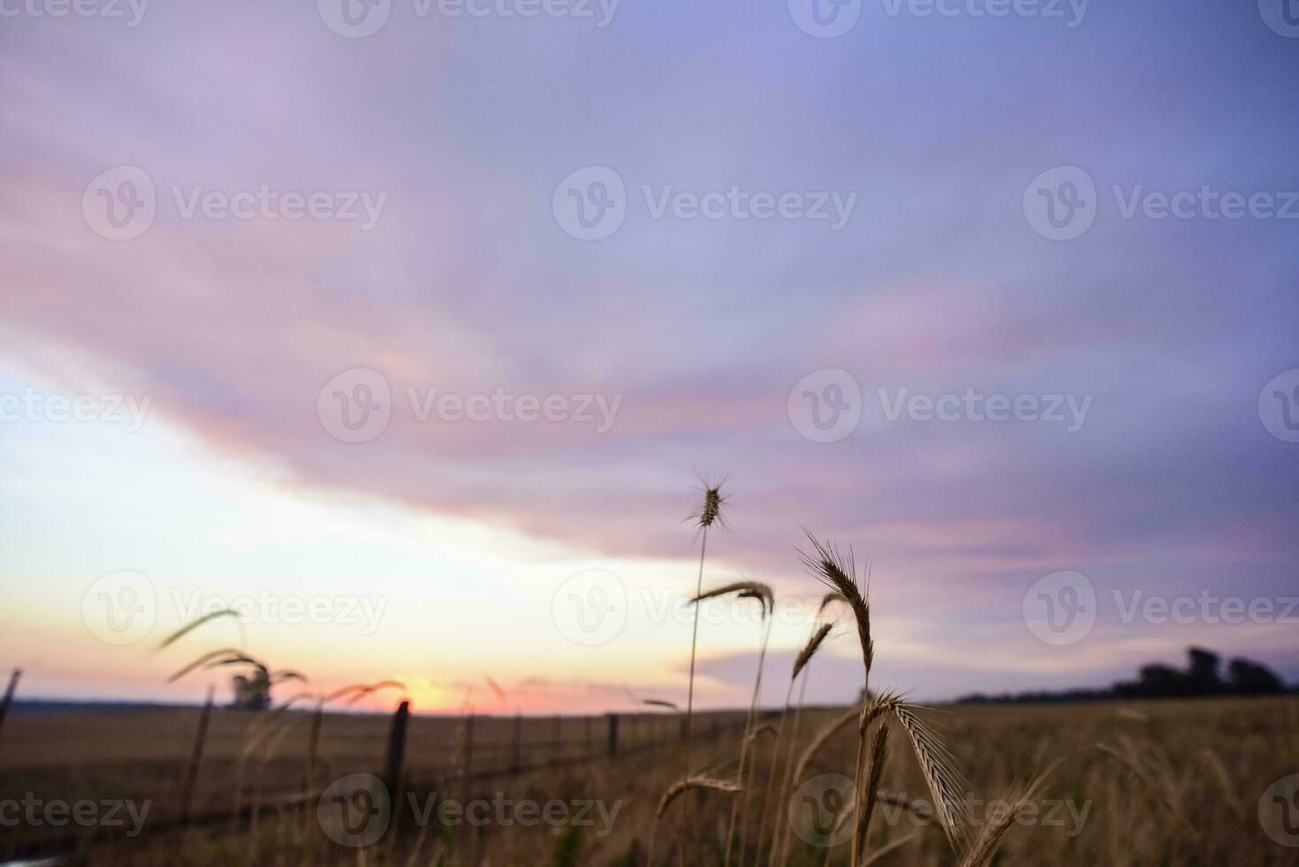 Stormy landscape at sunset, Patagonia, Argentina photo