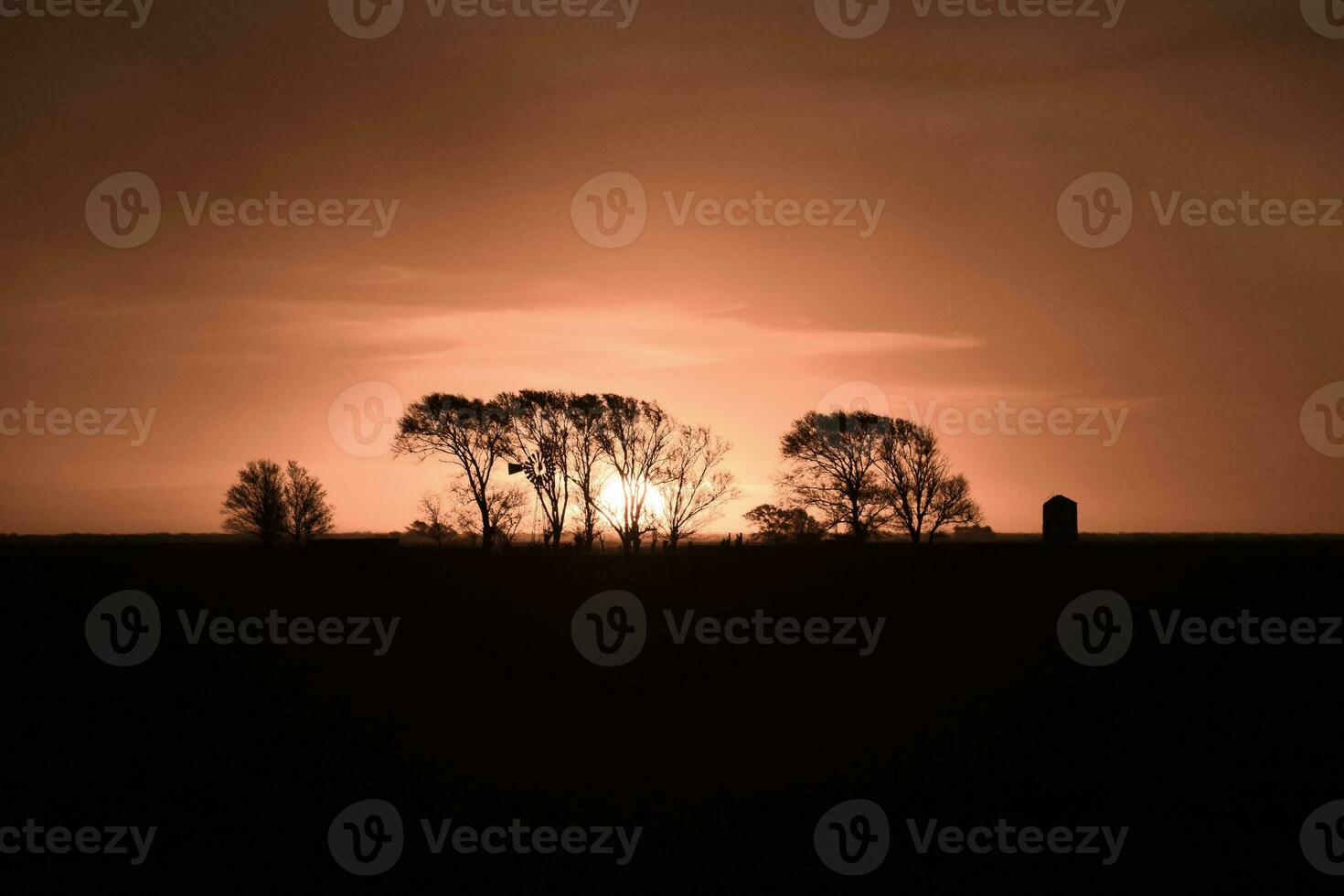 Rural sunset landscape, Buenos Aires province , Argentina photo