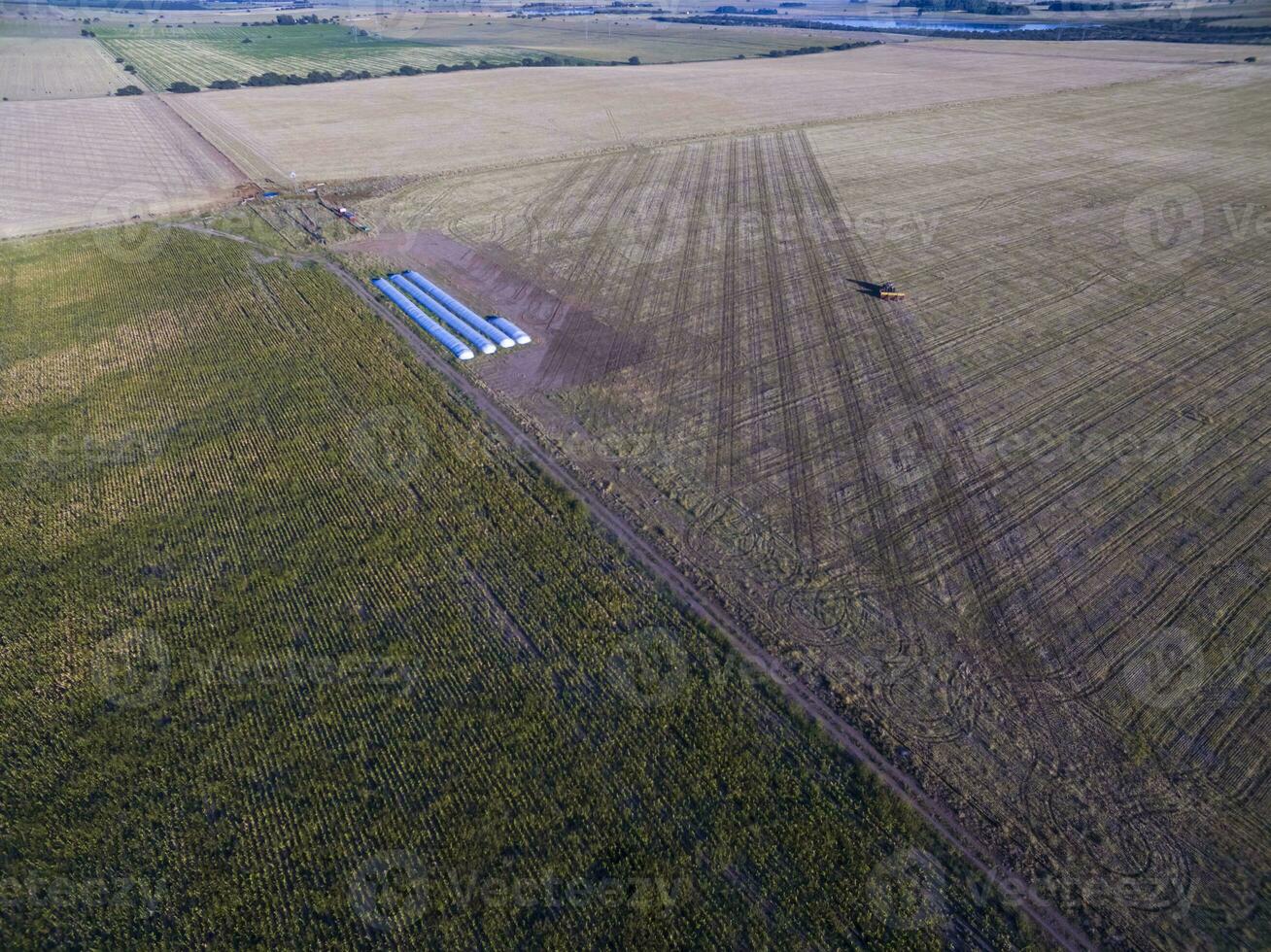 Tractor and seeder, direct sowing in the pampa, Argentina photo