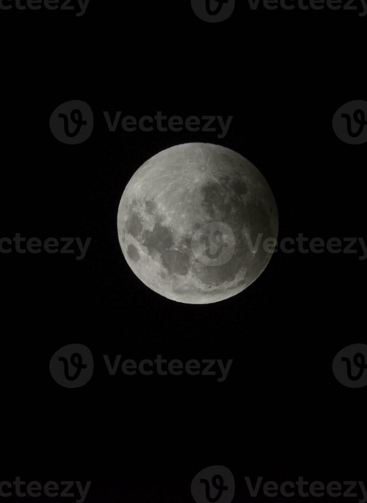 Blood moon, eclipse seen from, La Pampa,January 21, 2019   Argentina photo