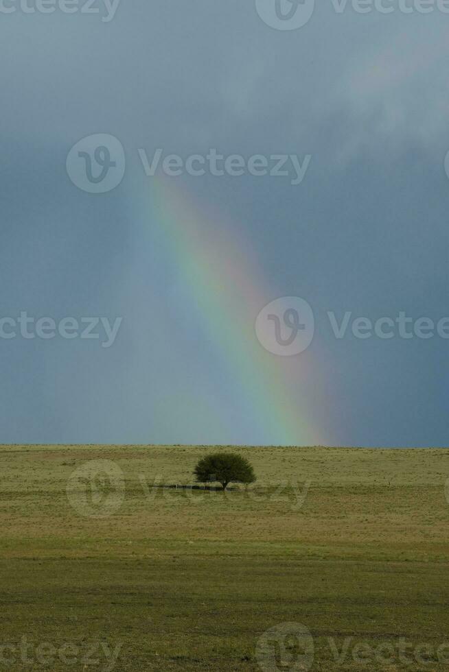 Threatening storm clouds, Pampas, Patagonia, Argentina photo