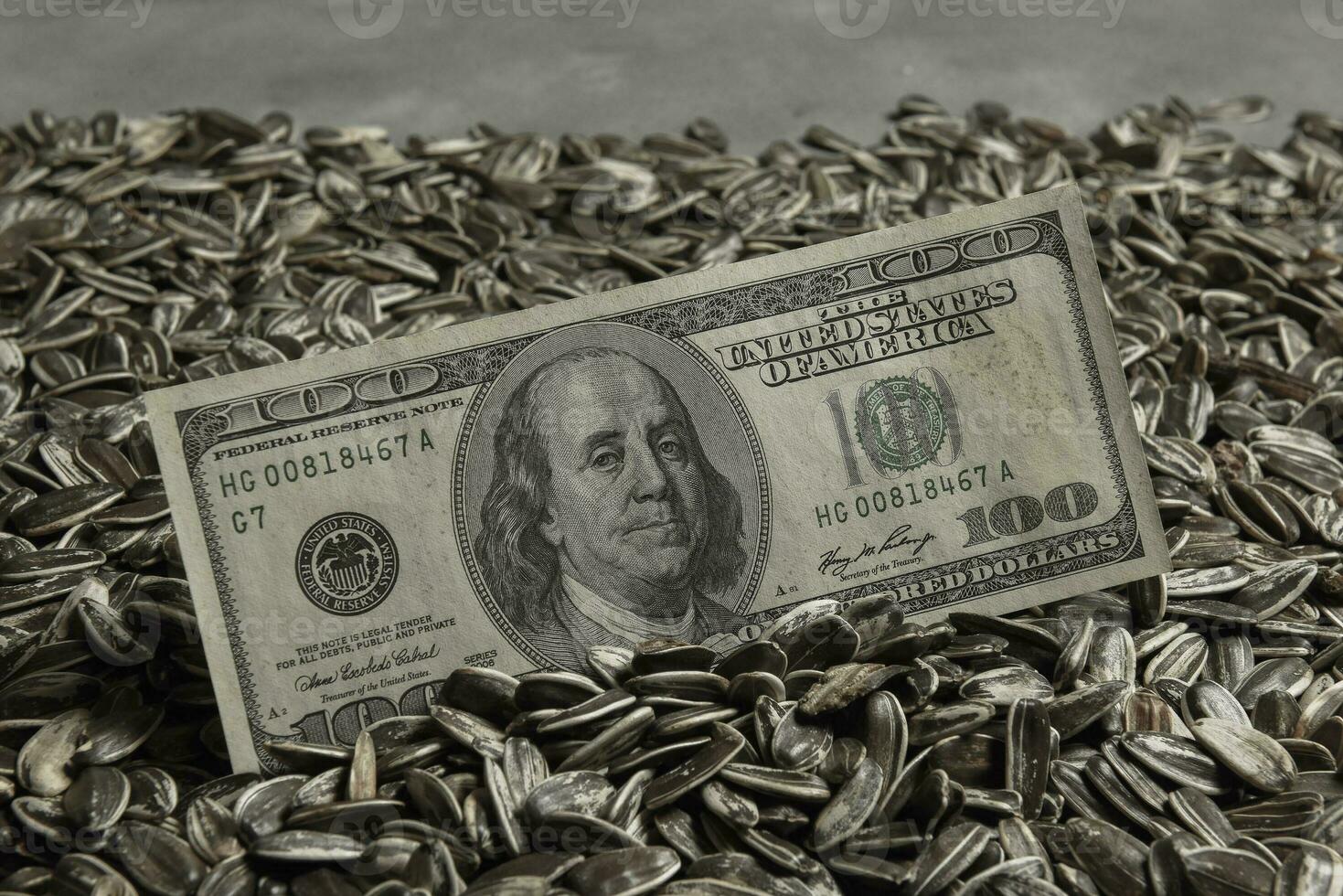 Dollars banknotes and sunflower seeds, oleaginous Commodity value concept. photo