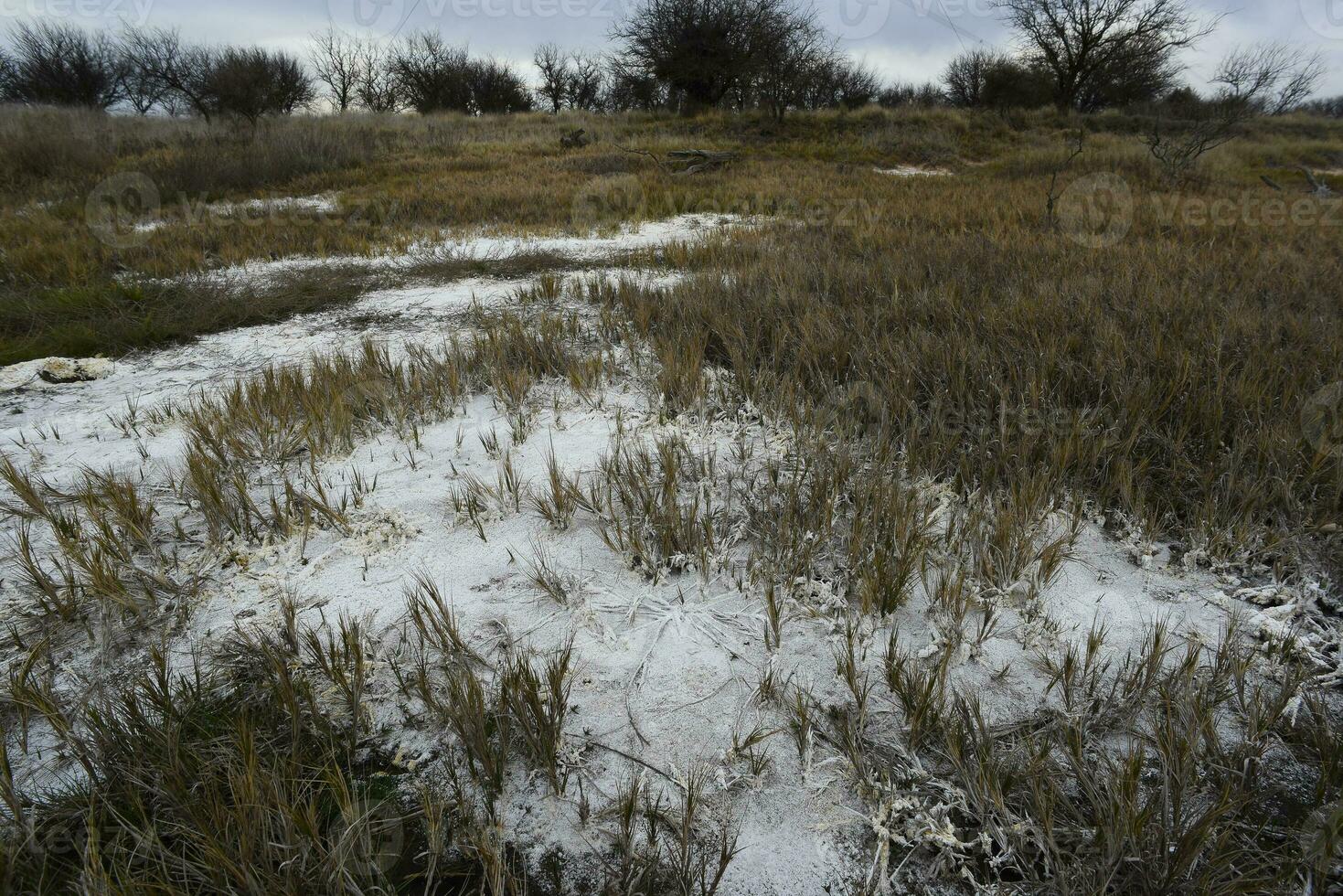 Saltpeter on the floor of a lagoon in a semi desert environment, La Pampa province, Patagonia, Argentina. photo