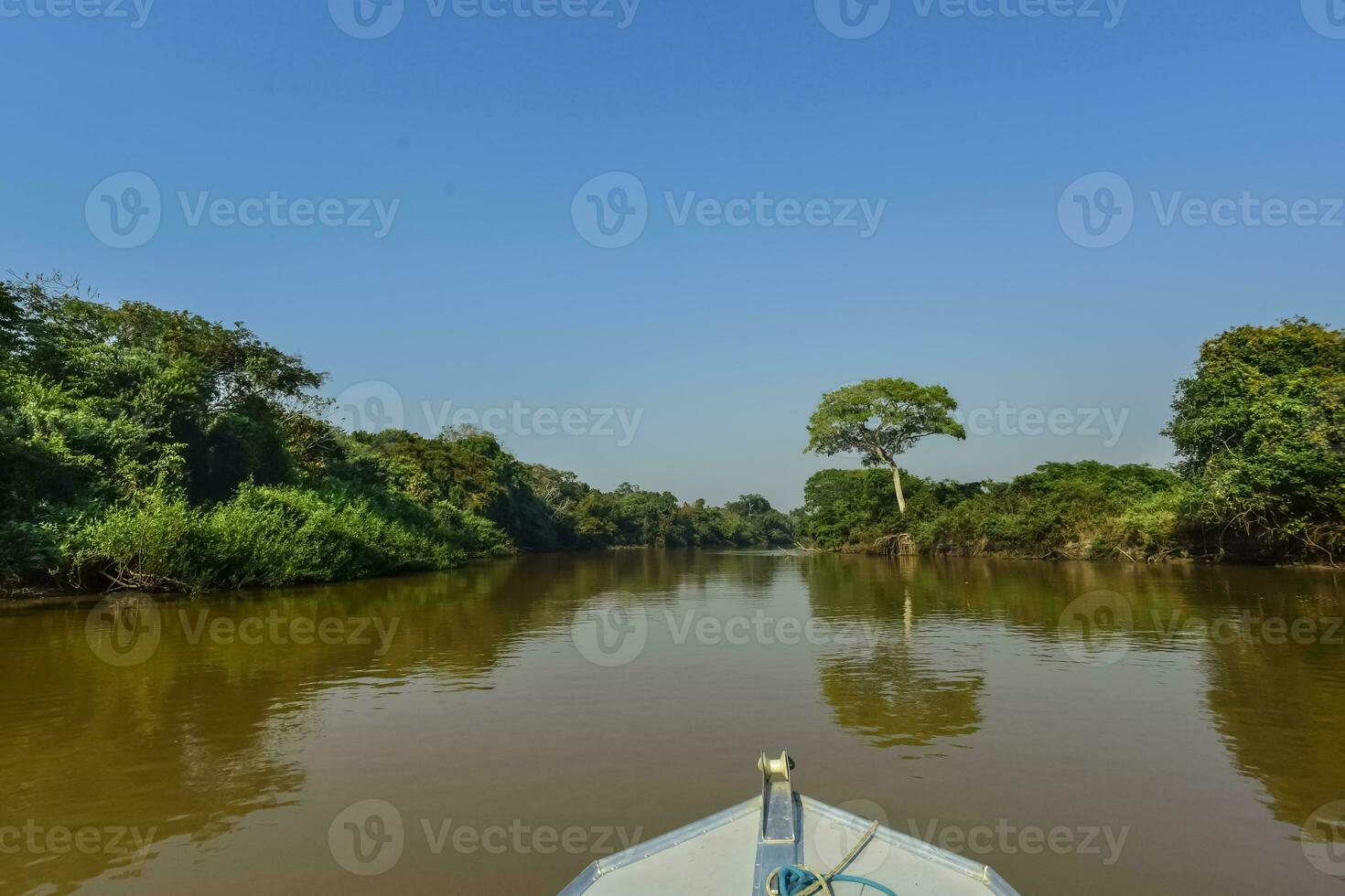 River landscape  and jungle,Pantanal, Brazil photo