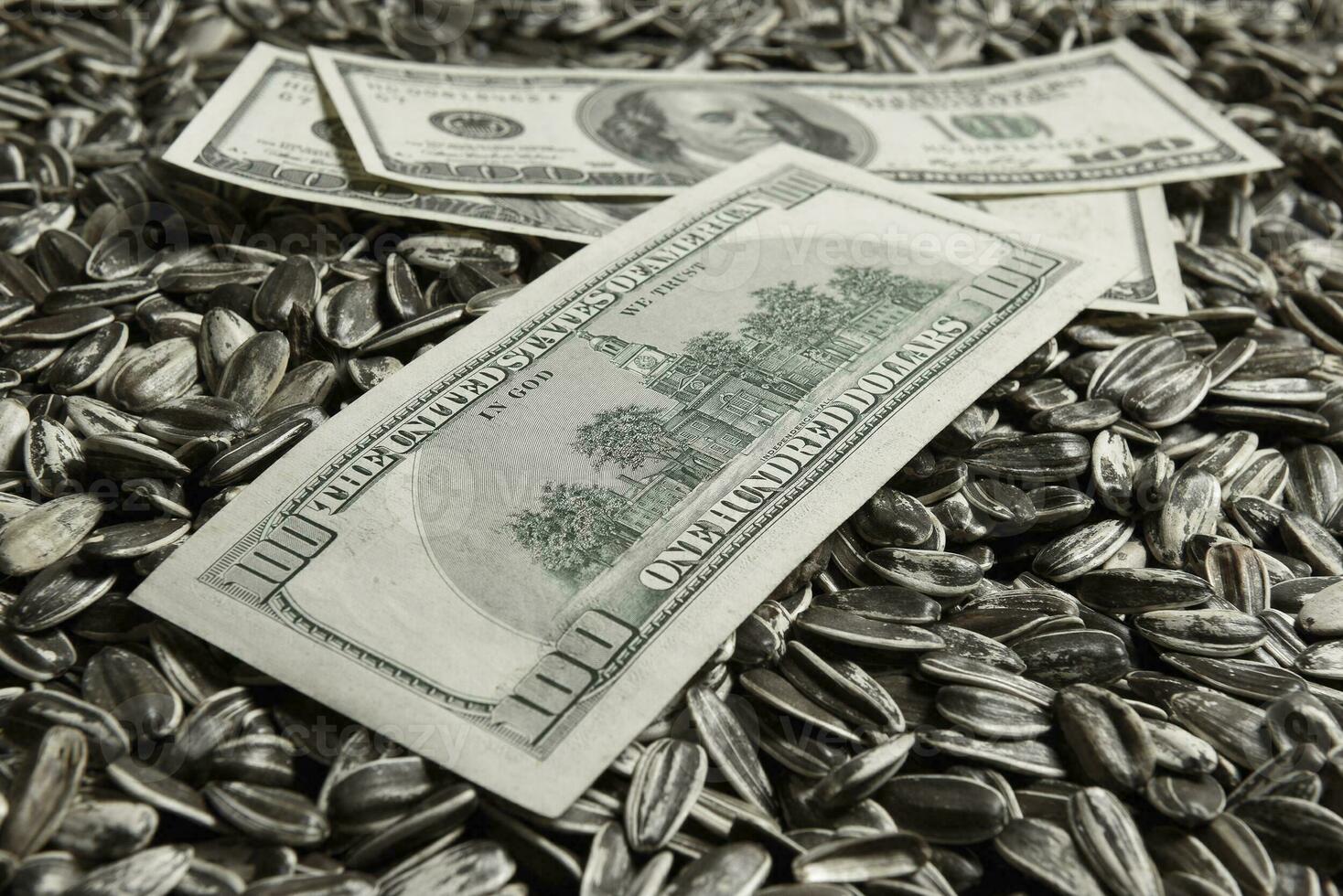 Dollars banknotes and sunflower seeds, oleaginous Commodity value concept. photo