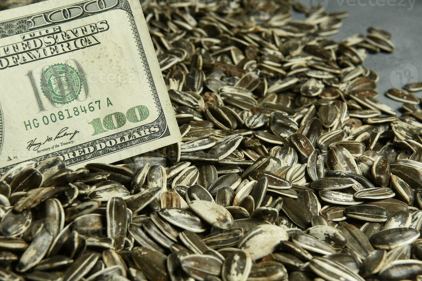 Dollars banknotes and sunflower seeds, oleaginous Commodity value concept. photo