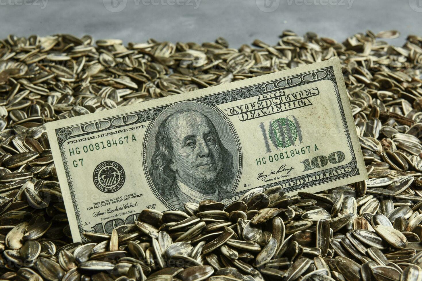 Dollars banknotes and sunflower seeds, oleaginous Commodity value concept. photo