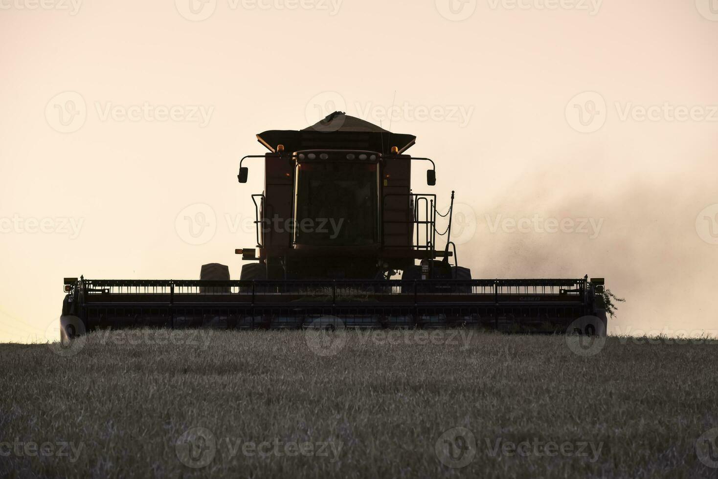 Harvester machine, harvesting in the Argentine countryside, Buenos Aires province, Argentina. photo