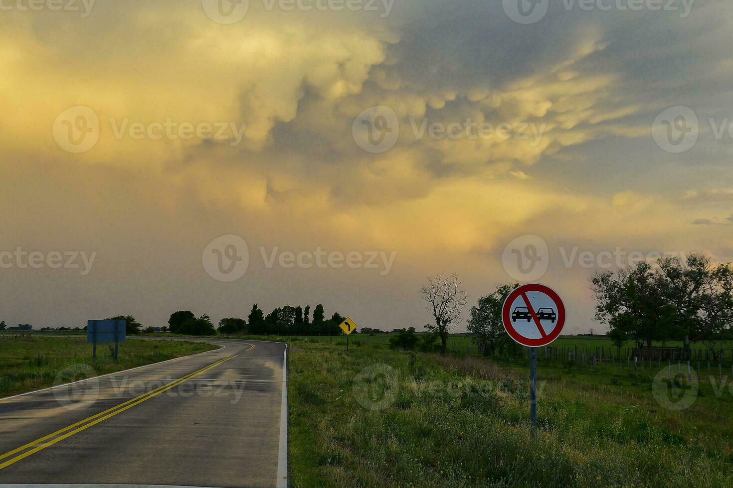 Route crossing the Pampas plain, La Pampa Province, Patagonia, Argentina. photo