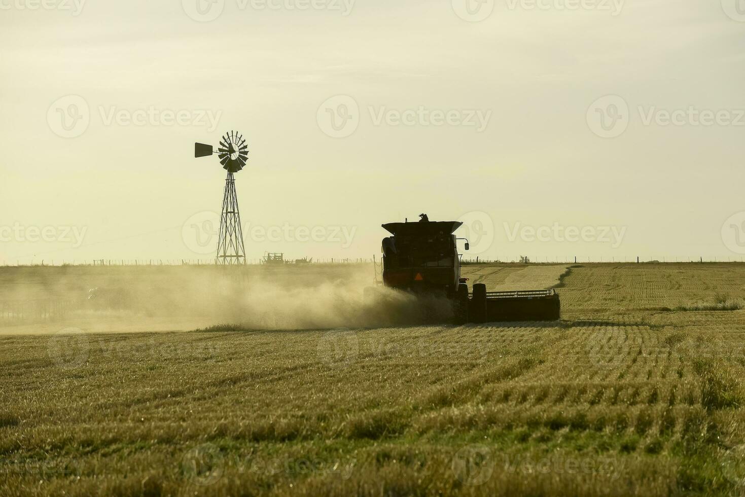 segador máquina, cosecha en el argentino campo, buenos aires provincia, argentina. foto