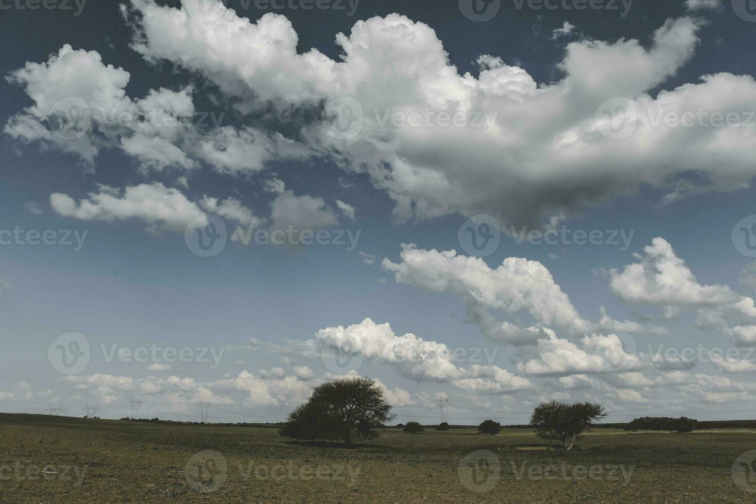 argentino pampa paisaje, con nublado cielo foto
