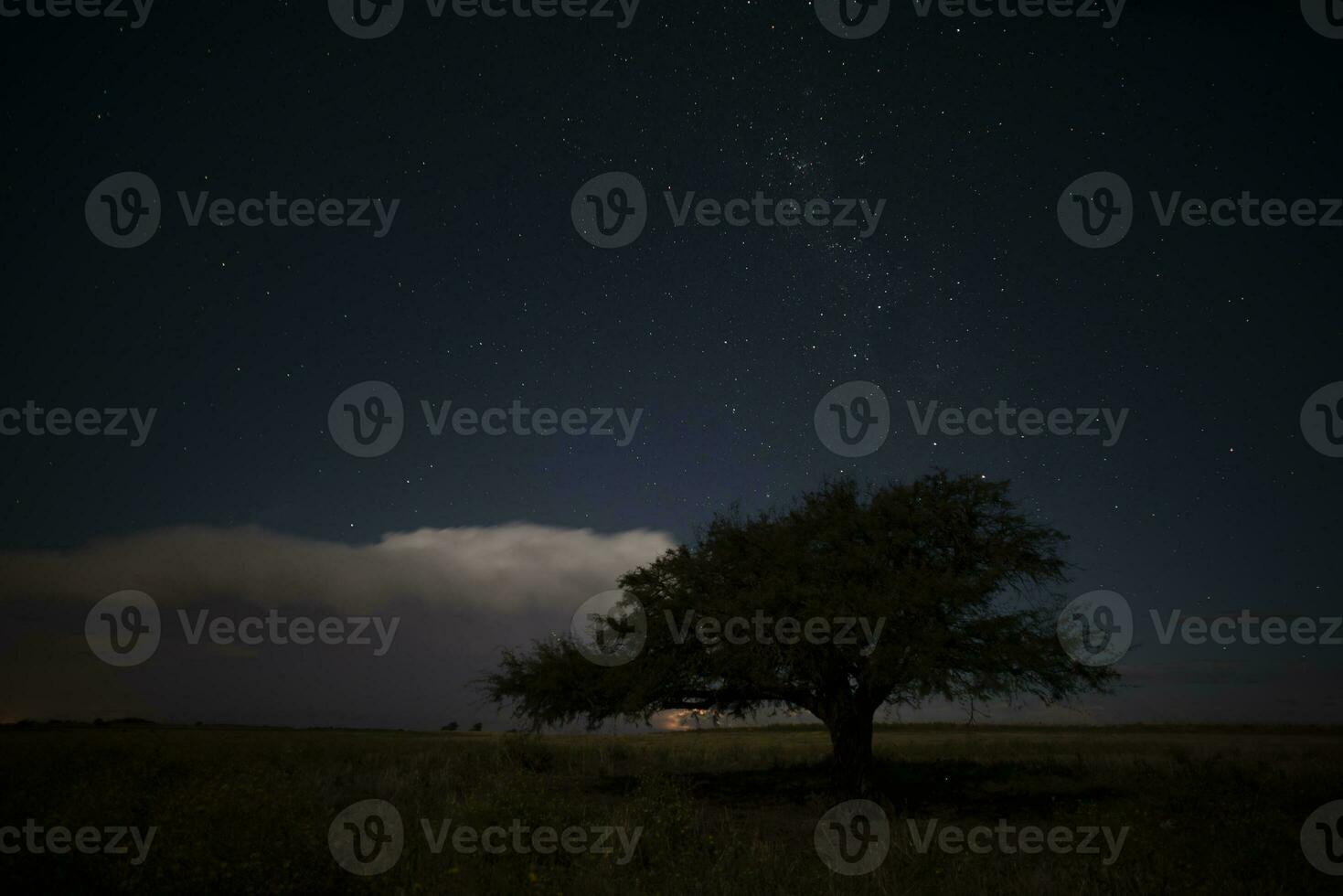 Pampas landscape photographed at night with a starry sky, La Pampa province, Patagonia , Argentina. photo