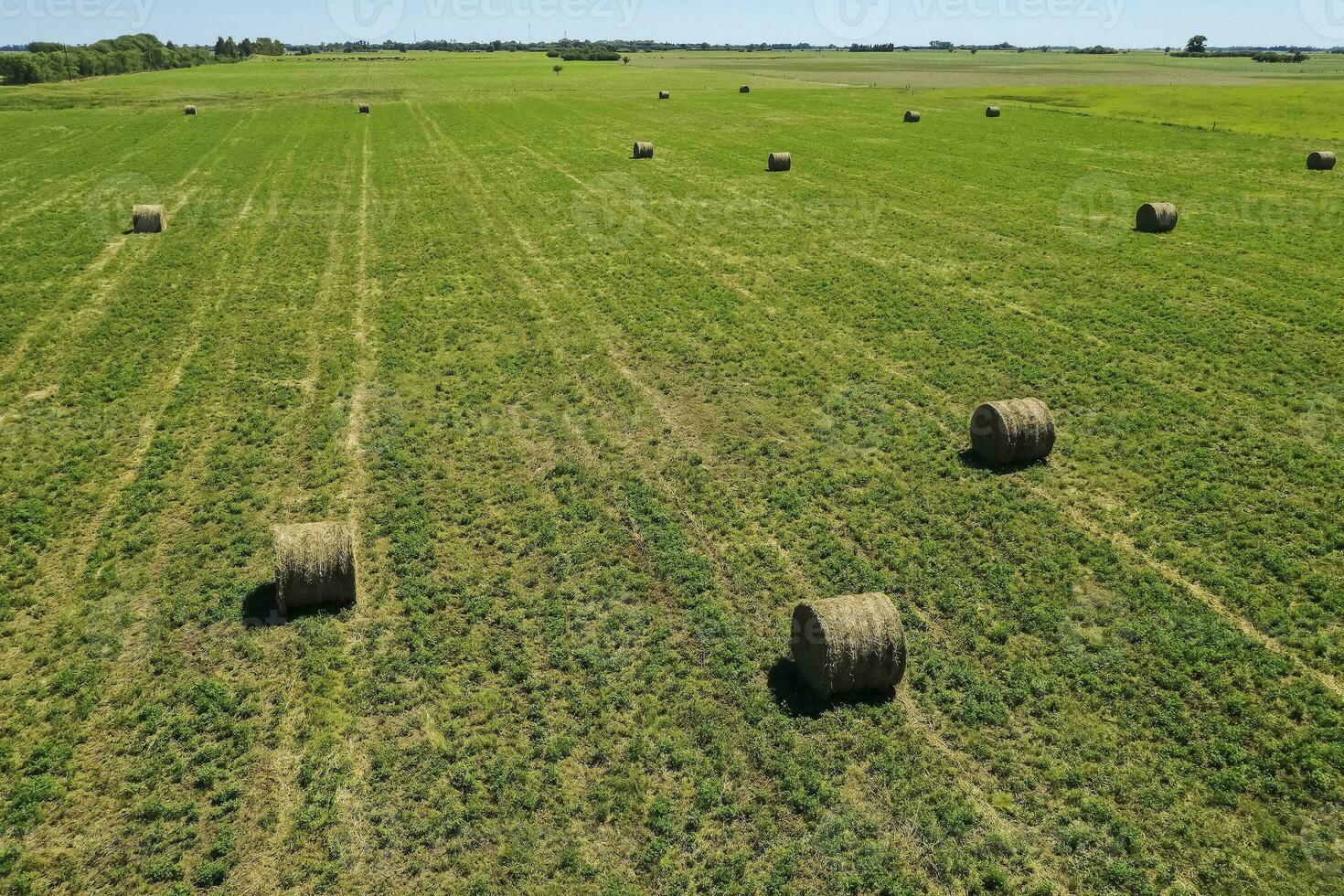 Grass bale, grass storage in La Pampa countryside, Patagonia,Argentina. photo