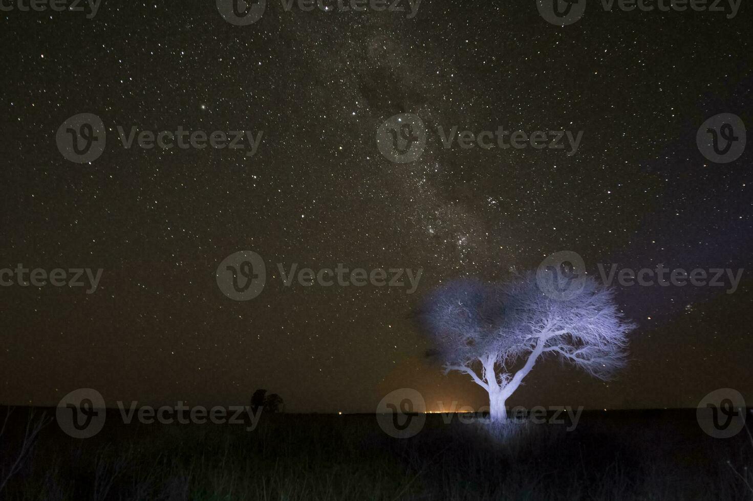 Pampas landscape photographed at night with a starry sky, La Pampa province, Patagonia , Argentina. photo