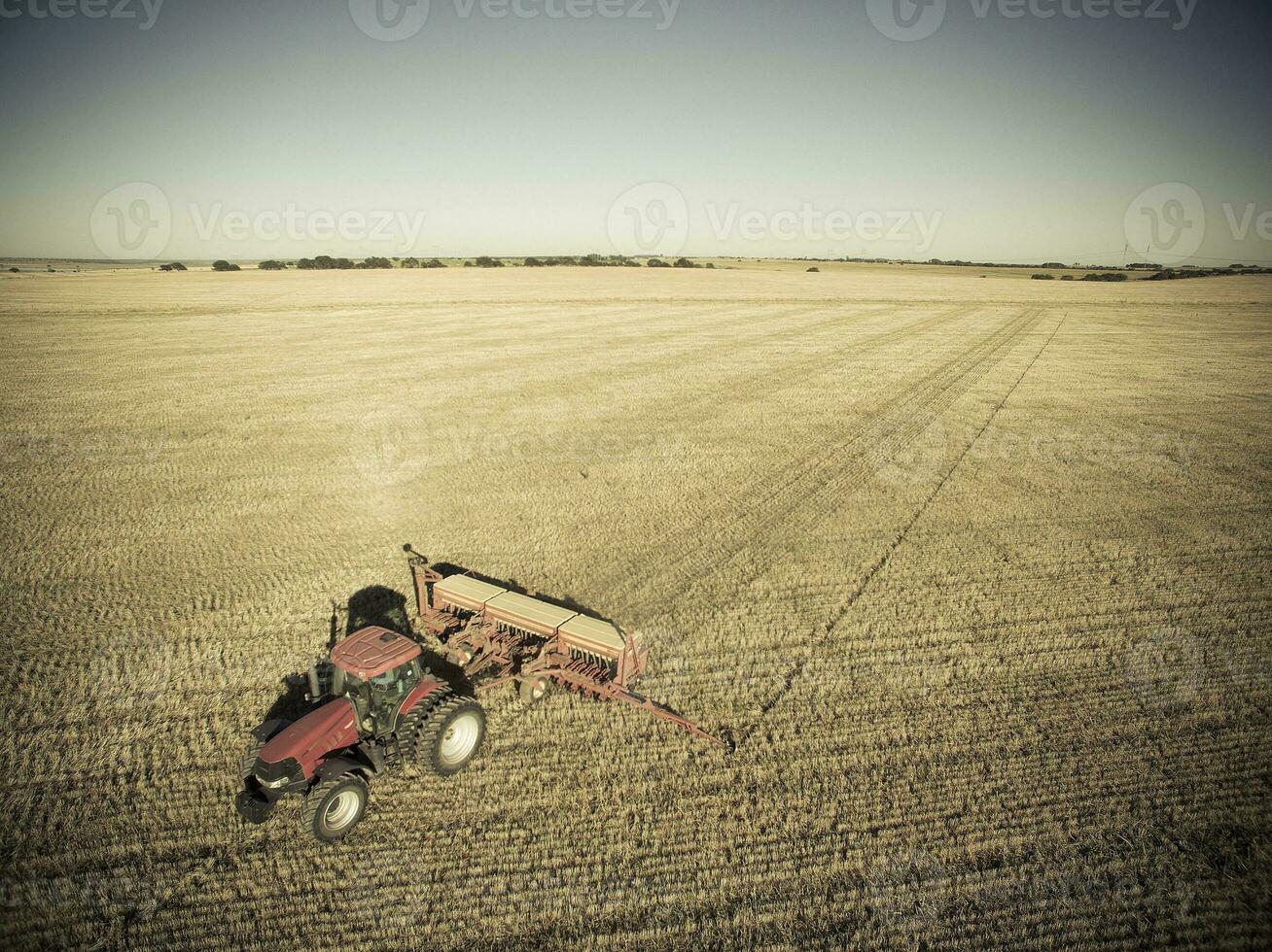 Direct seeding, agricultural machinery, in La Pampa, patagonia, Argentina photo