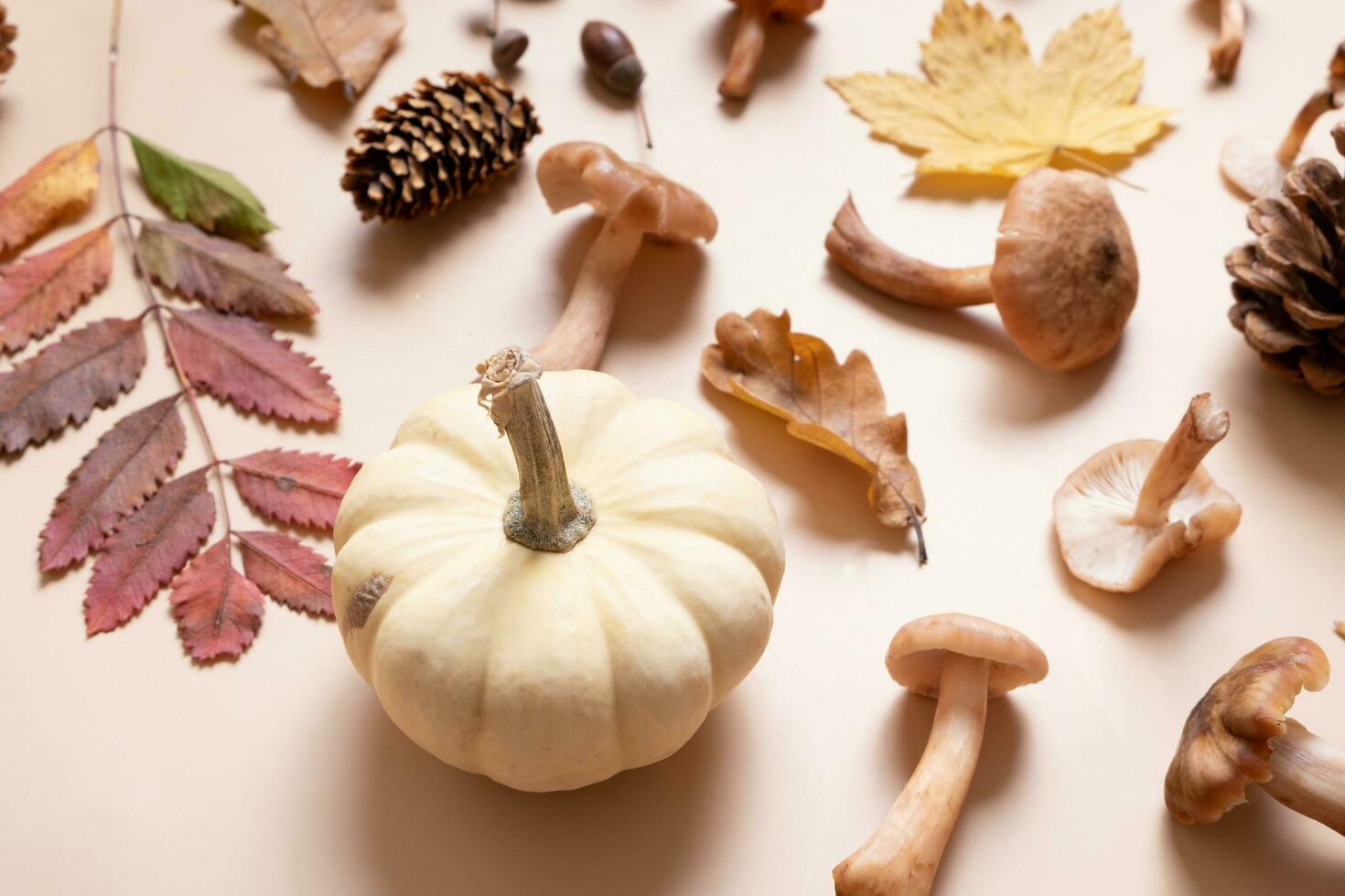 Pumpkin, mushrooms and autumn leaves on beige background. Autumn still life photo