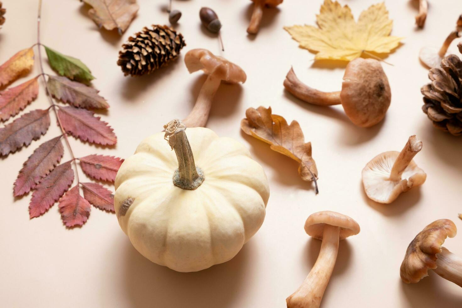 calabaza, hongos y otoño hojas en beige antecedentes. otoño todavía vida foto