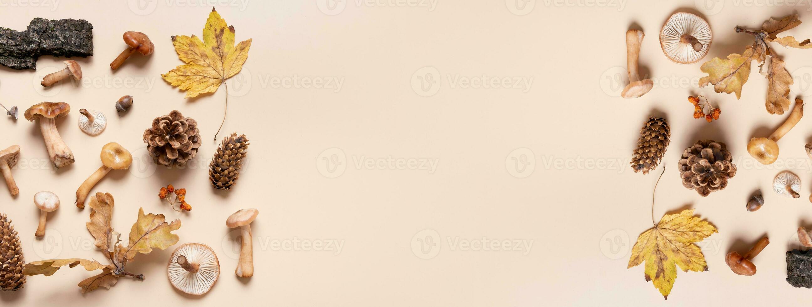 Cones, mushrooms and autumn leaves on beige background. Autumn monochrome still life. Banner with copy space. photo