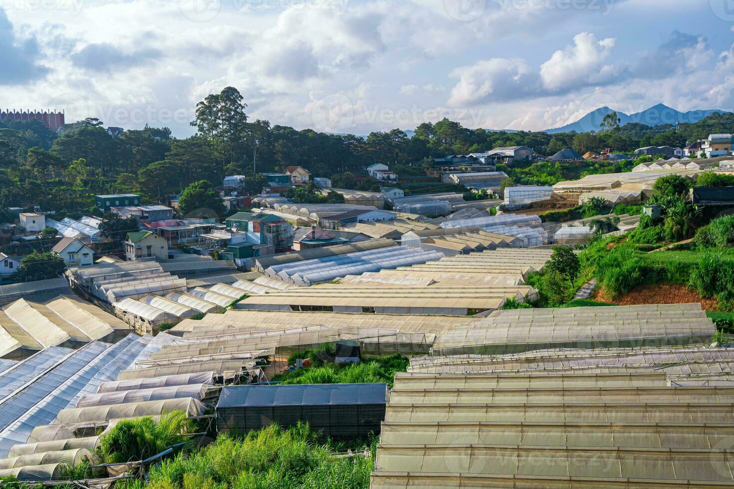 Green Houses Spread Across The Mountain Village Of Da Lat City In Vietnam photo