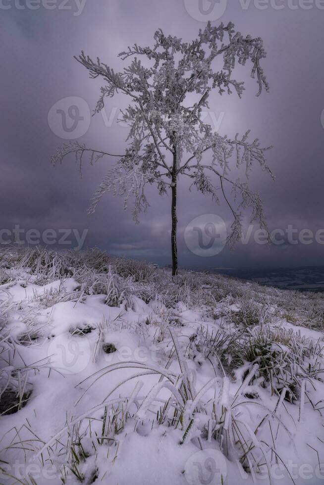Mountain views of winter landscape photo