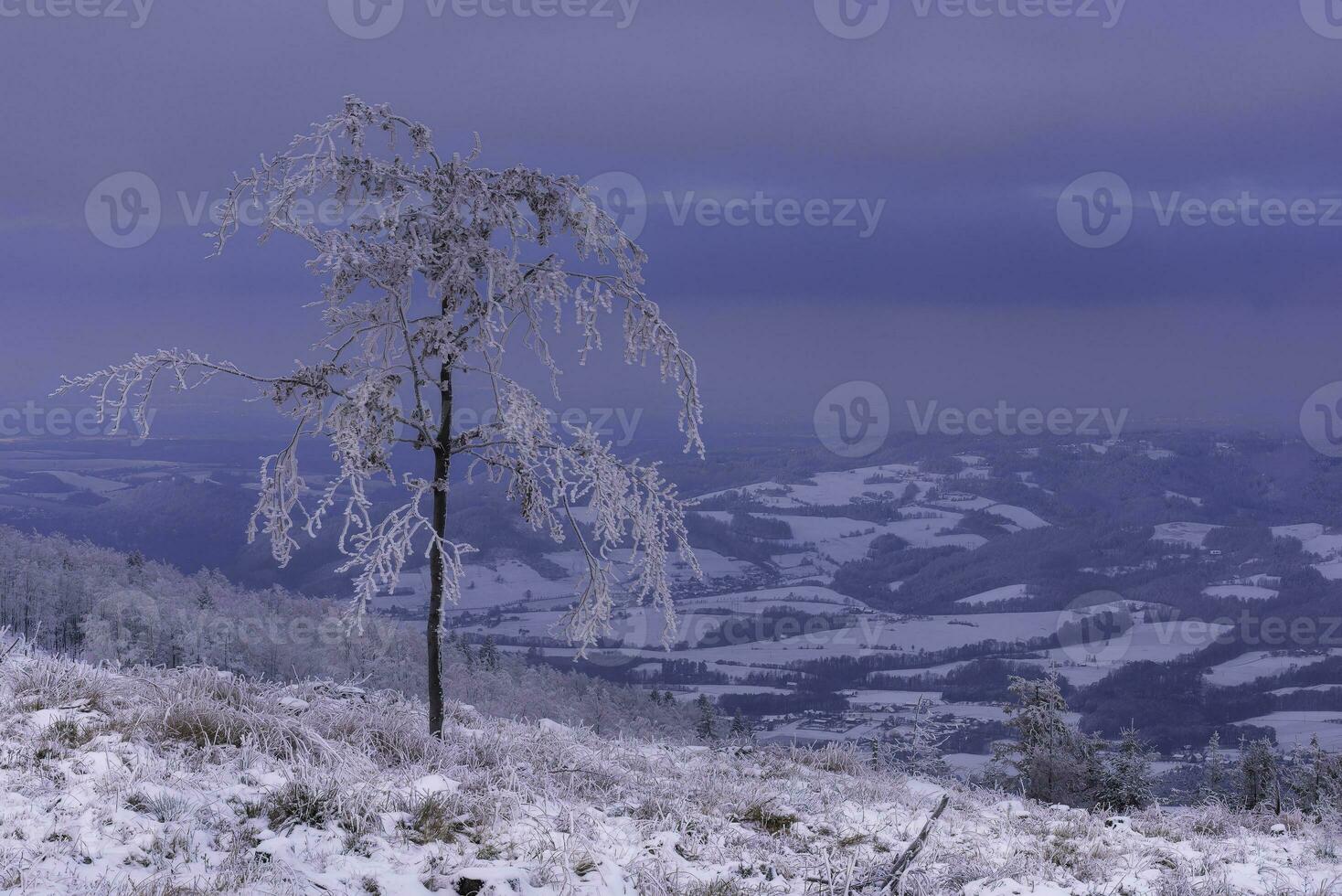 Mountain views of winter landscape photo