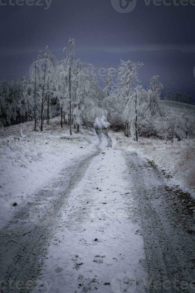 camino forestal de invierno en las montañas foto