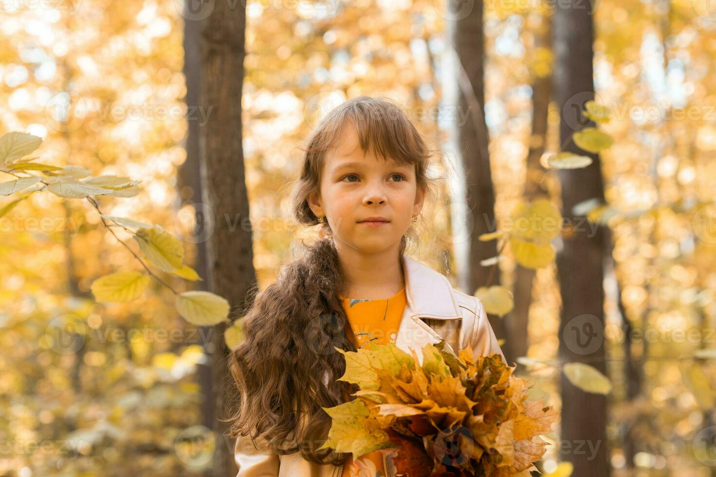 pequeño niño niña con otoño naranja hojas en un parque. estilo de vida, otoño temporada y niños concepto. foto