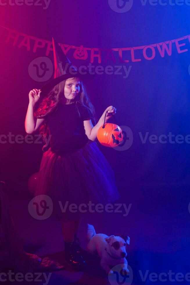 Funny child girl in witch costume for Halloween with pumpkin Jack and dog. photo