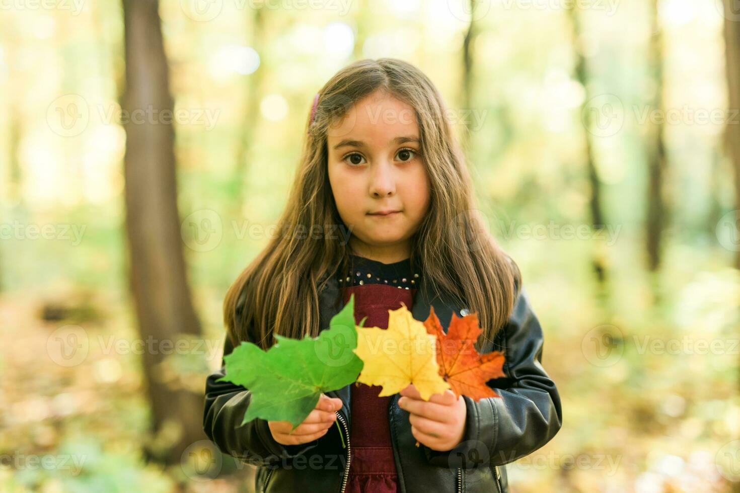 Little girl holds a bouquet of autumn leaves in her hands in fall season photo