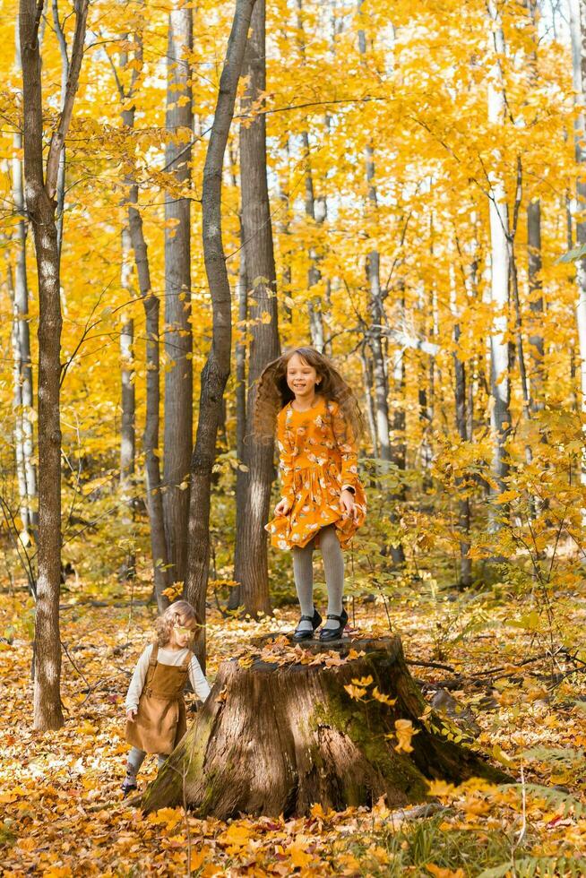 pequeño niño niña con otoño naranja hojas en un parque. estilo de vida, otoño temporada y niños concepto. foto