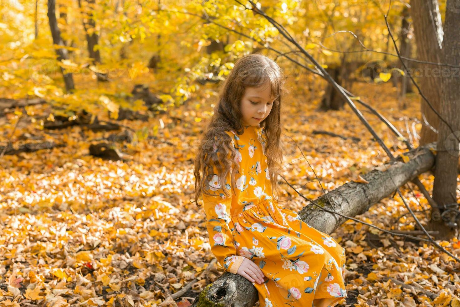 Little kid girl with autumn orange leaves in a park. Lifestyle, fall season and children concept. photo