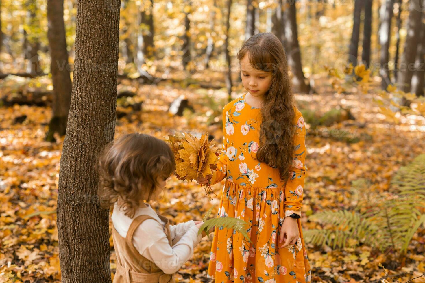 contento niños jugando en hermosa otoño parque en calentar soleado otoño día. pequeño hermanas jugar con dorado arce hojas - divertido, ocio y infancia concepto foto