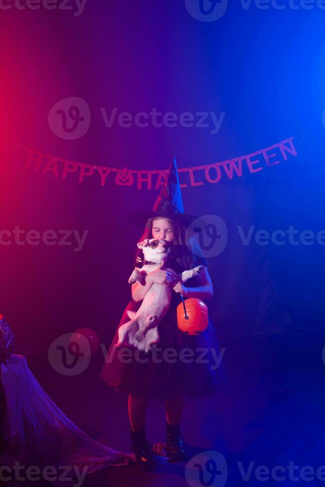 gracioso niño niña en bruja disfraz para Víspera de Todos los Santos con calabaza Jack y perro. foto