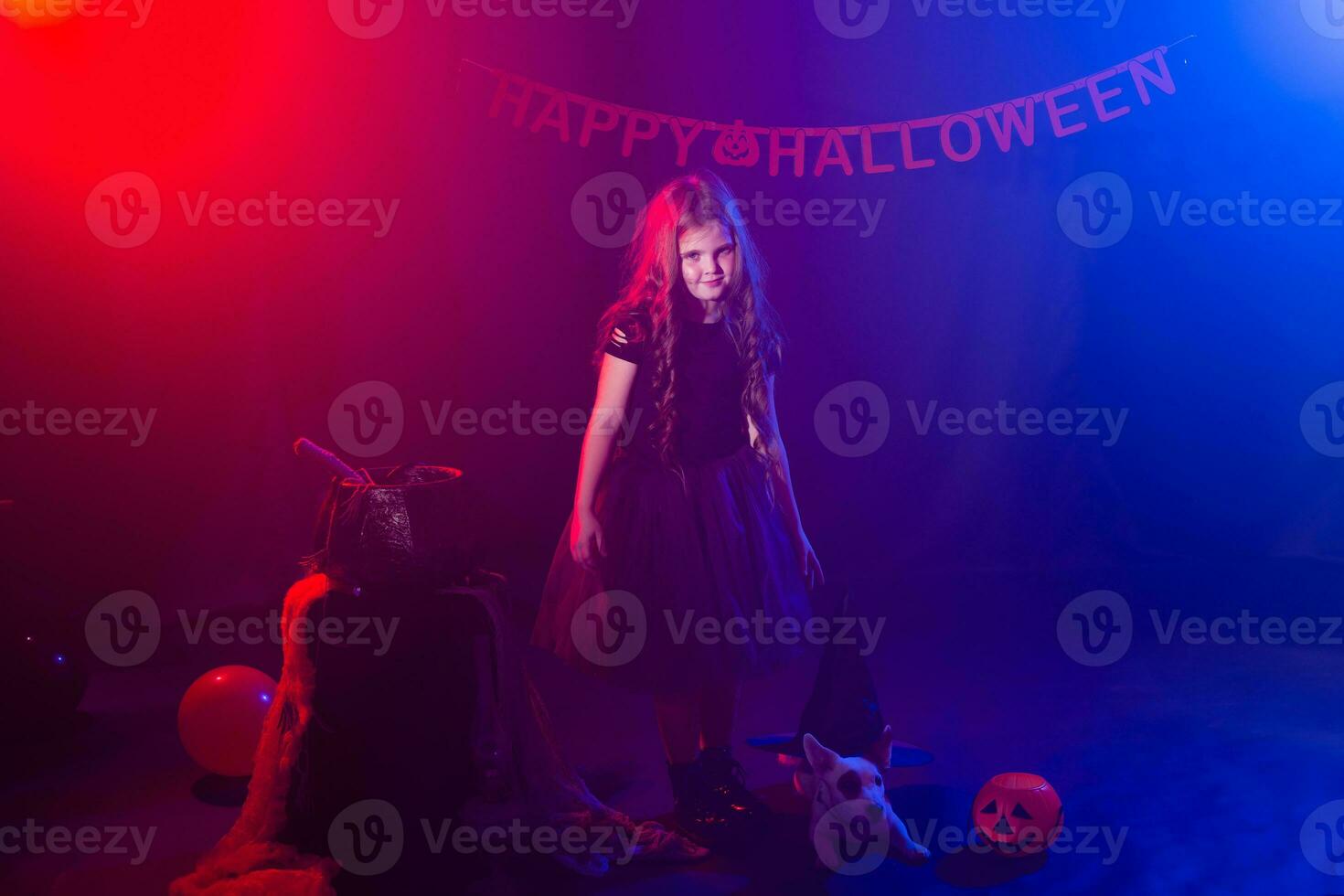 Funny child girl in witch costume for Halloween with pumpkin Jack and dog. photo