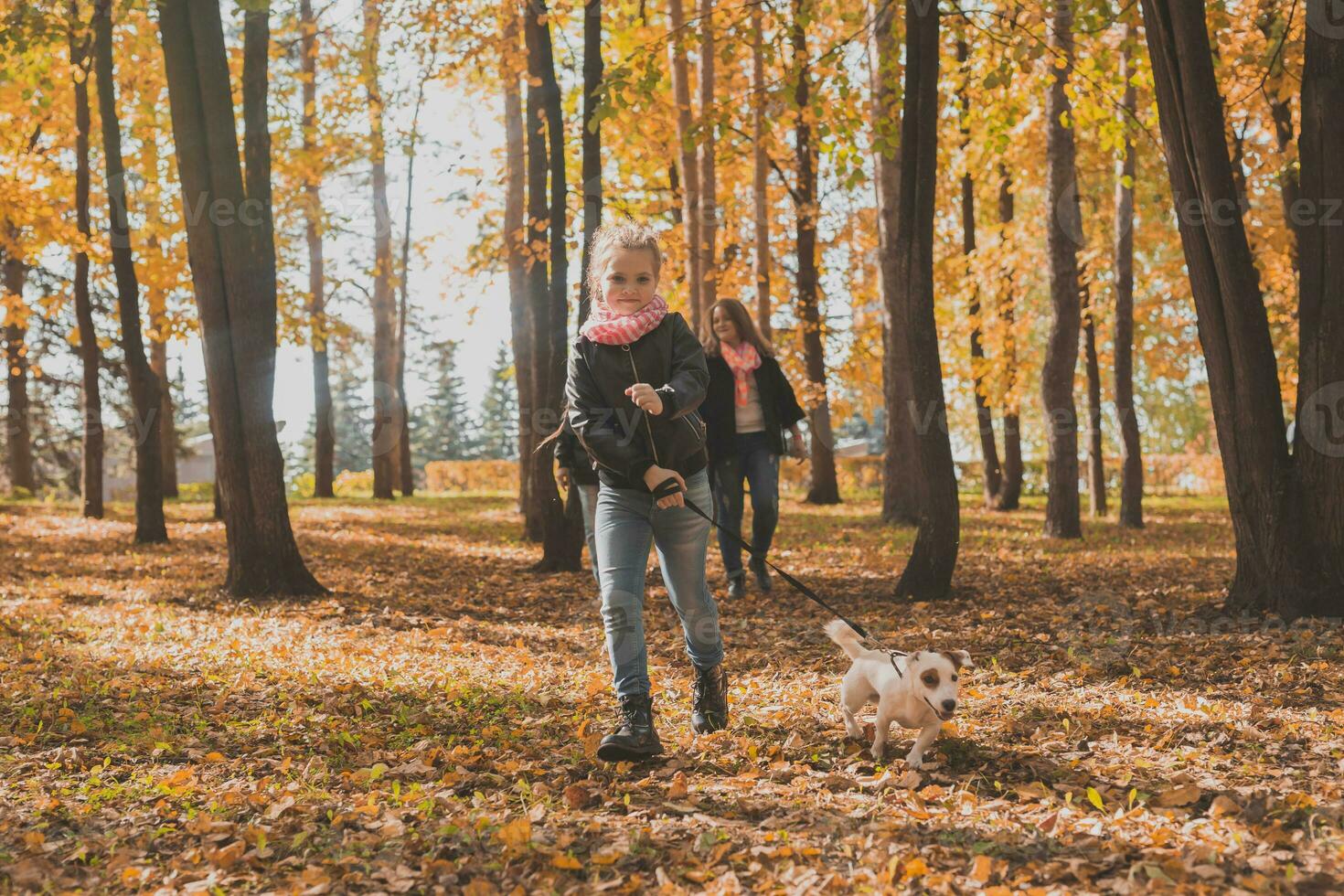 Little girl running with her dog jack russell terrier among autumn leaves. Mother and grandmother walks behind photo