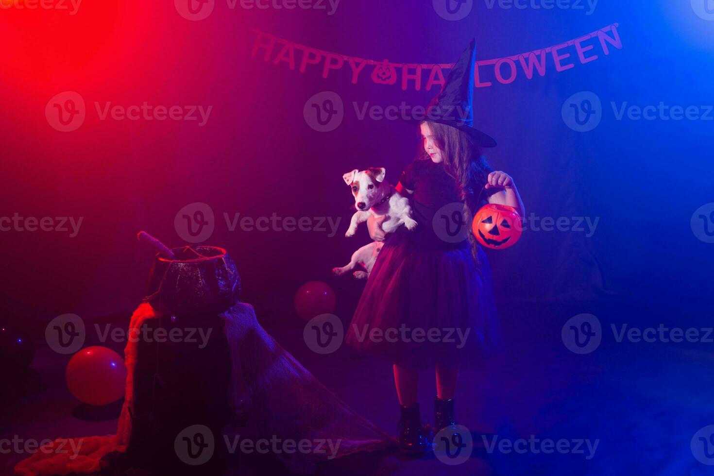 Funny child girl in witch costume for Halloween with pumpkin Jack and dog. photo