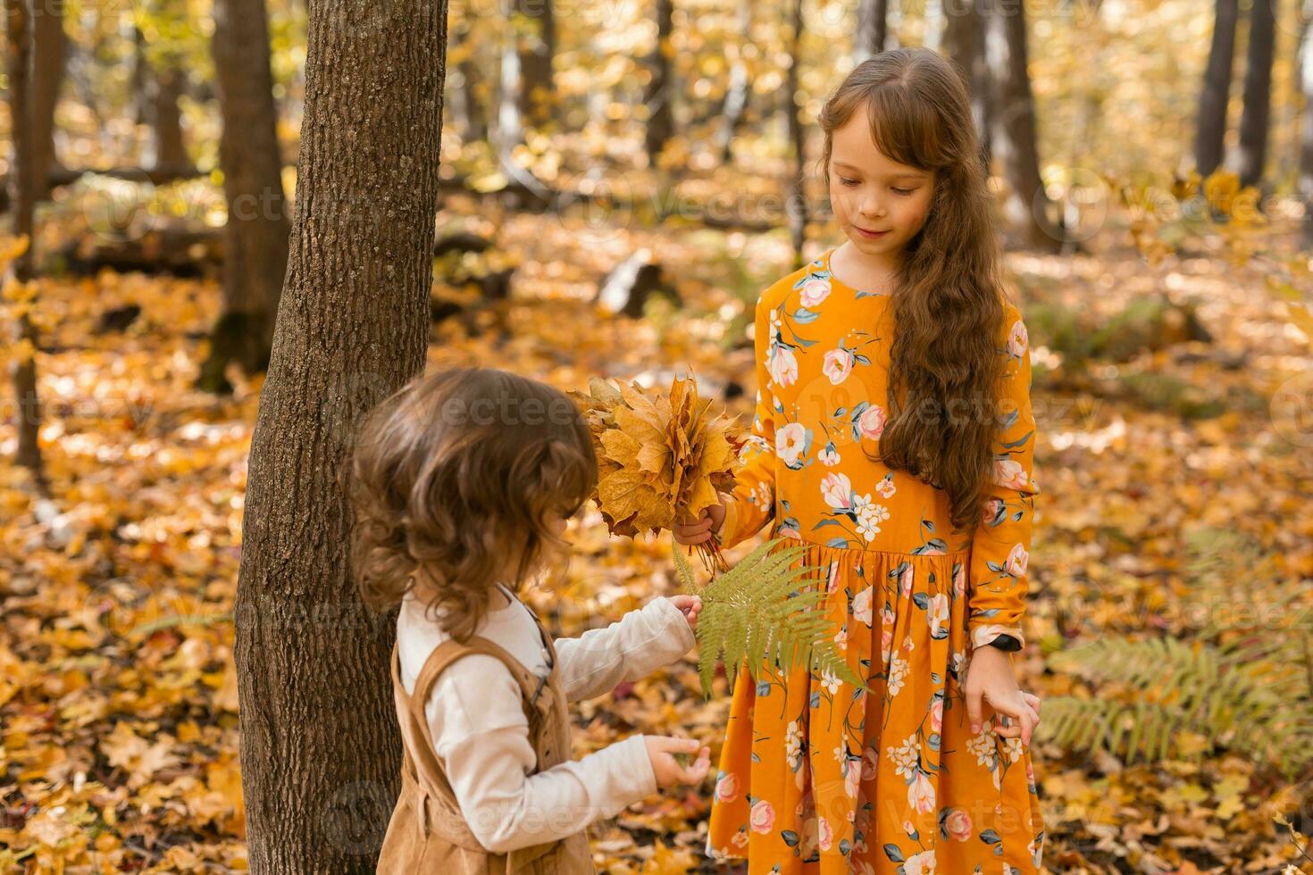 contento niños jugando en hermosa otoño parque en calentar soleado otoño día. pequeño hermanas jugar con dorado arce hojas - divertido, ocio y infancia concepto foto